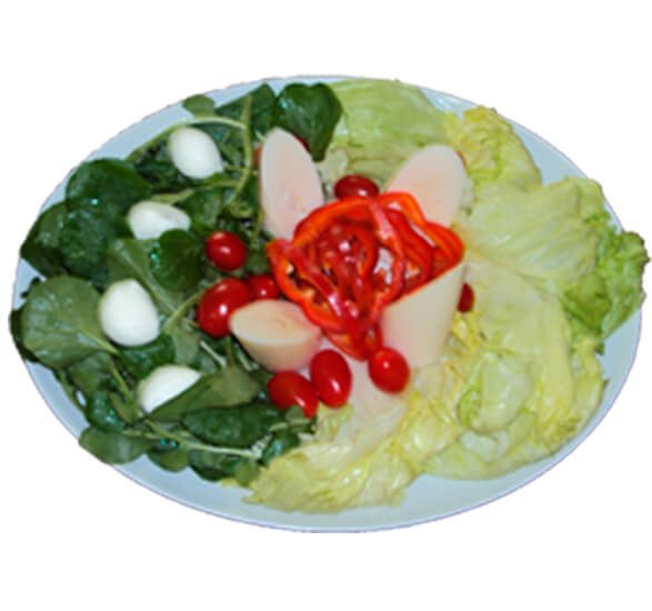 Salada Vinhedence